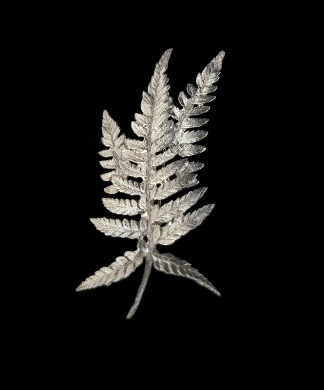 luxury enamel brooches for women-Fine Fern Silver Brooch