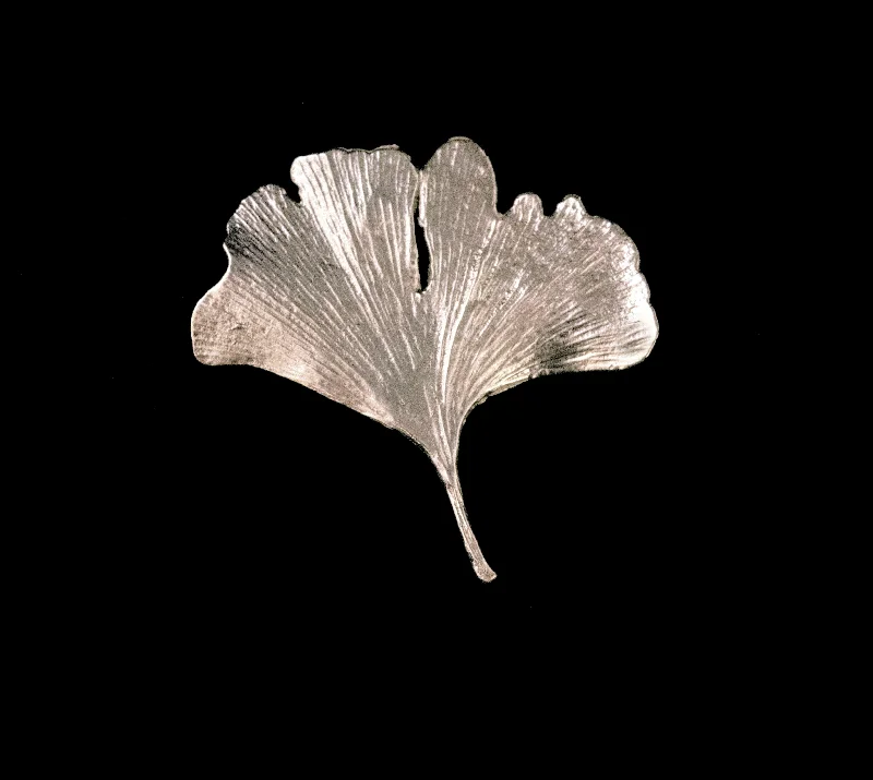 gold-tone brooches for women-Fine Ginkgo Silver Brooch